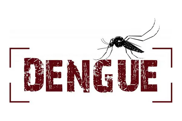 Transforme o combate à Dengue em um hábito